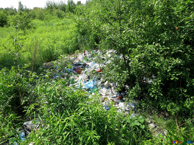 Discarica rifiuti nella natura №24695