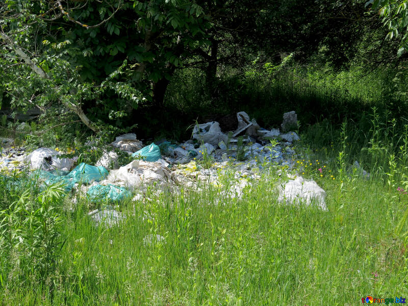 Müll im Wald №24701