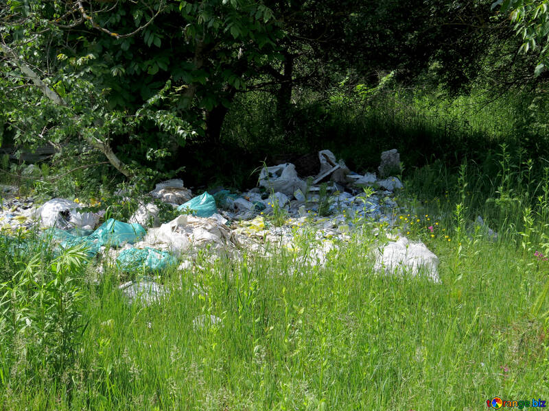 Déchets dans la forêt №24701