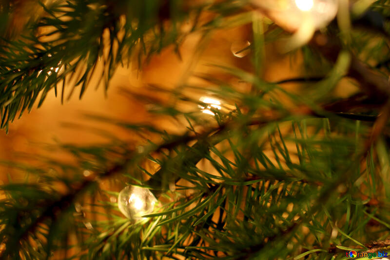 Glühbirne an den Weihnachtsbaum №24563