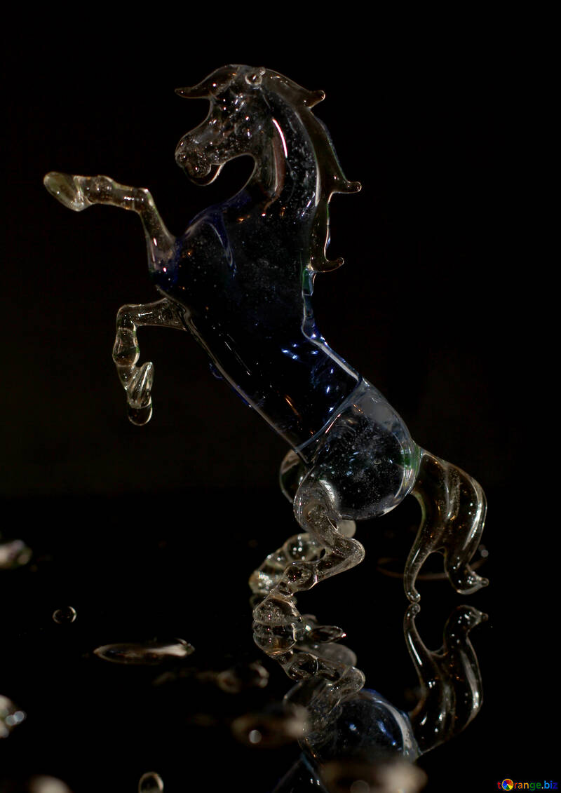 Horse of the glass on black background №24529