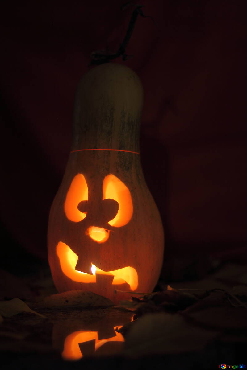 Image compliments on Halloween with pumpkin №24233
