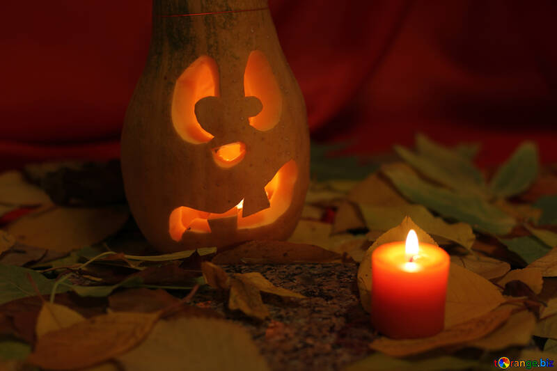 Halloween pumpkin picture №24248