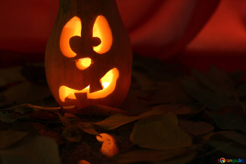 Candlestick picture of pumpkin on Halloween №24240