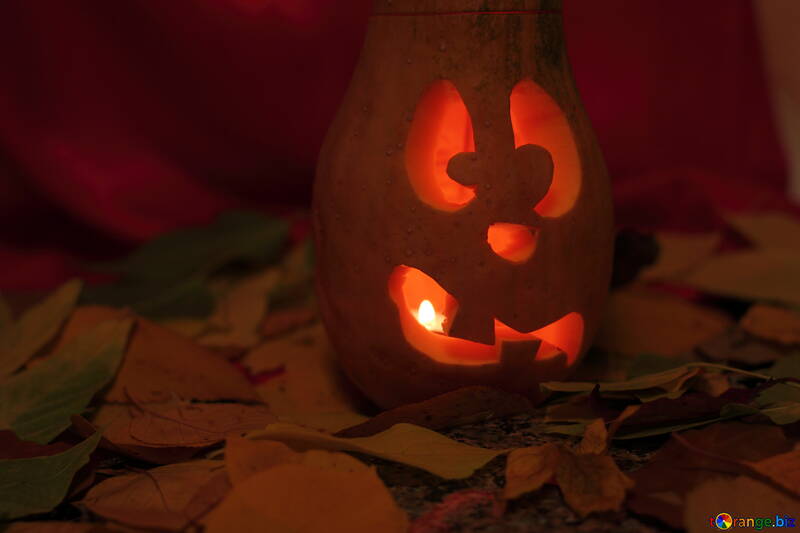 Bild Lampe an Halloween Kürbis №24245