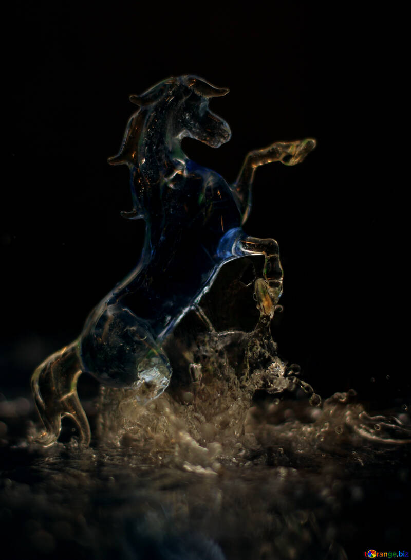 Horse and water splashes №24525