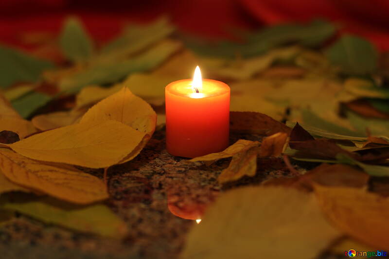 Candle and autumn leaves №24252