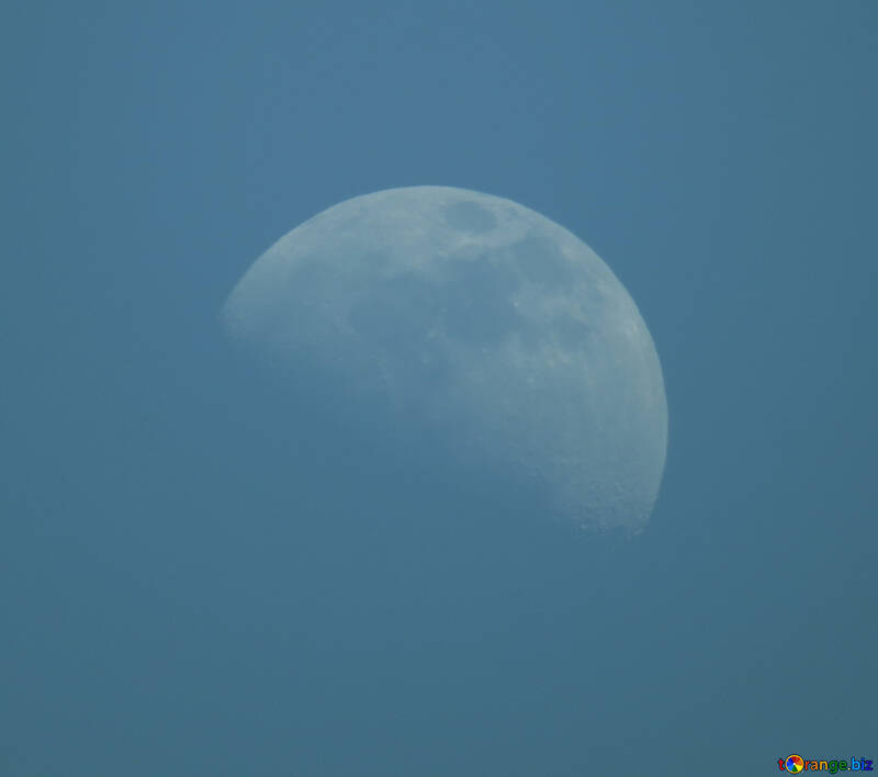 Luna №24538