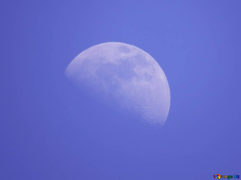 Ein großer Mond №24537