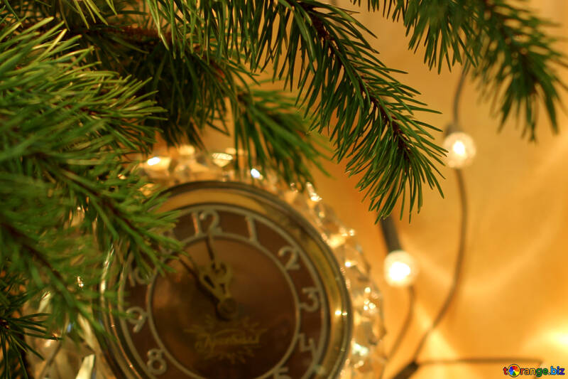 Guarda sotto l`albero di Natale №24571