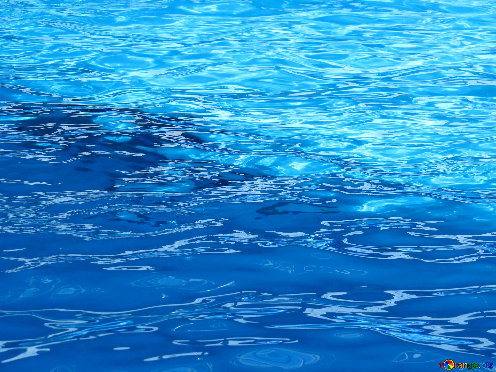 Видео воды в бассейне. Вода фон. Водный фон. Изображение воды. Синяя вода.