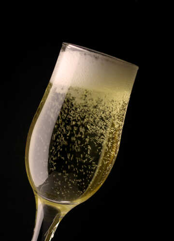 Sparkling wine in the glass №25743