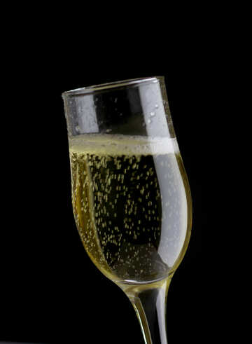 Champagne in glass №25757