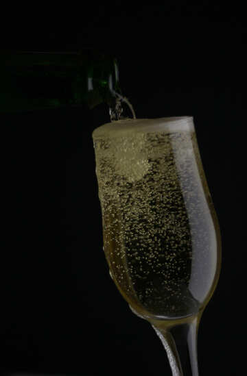 Elite champagne №25736