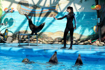 Show in marine animals №25288