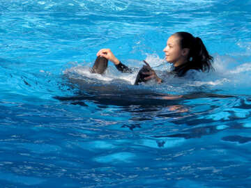 Swimming with dolphins №25196