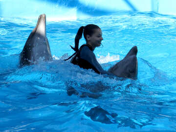 Girl with Dolphins №25195