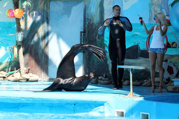Circo con animales marinos №25235