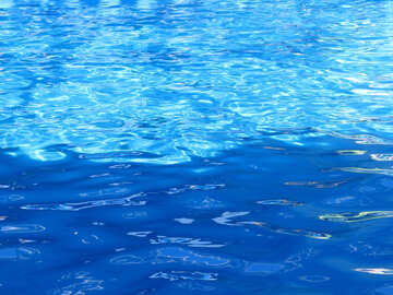 El agua azul de la piscina №25513