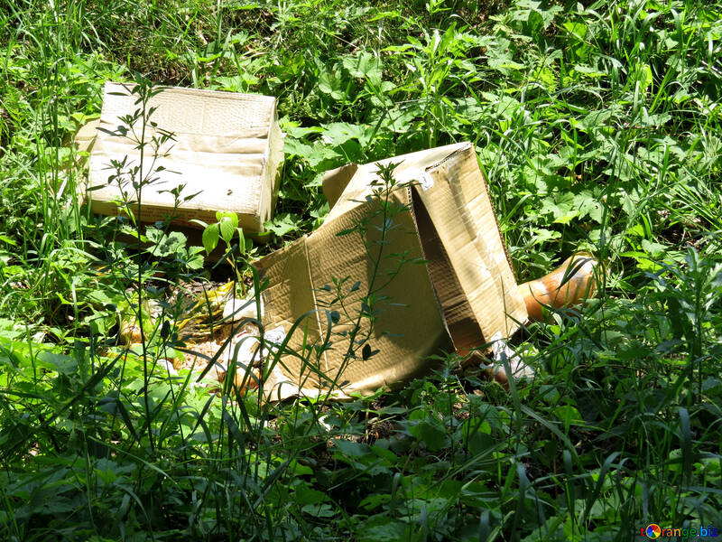 Garbage dump and expired products in the forest №25064