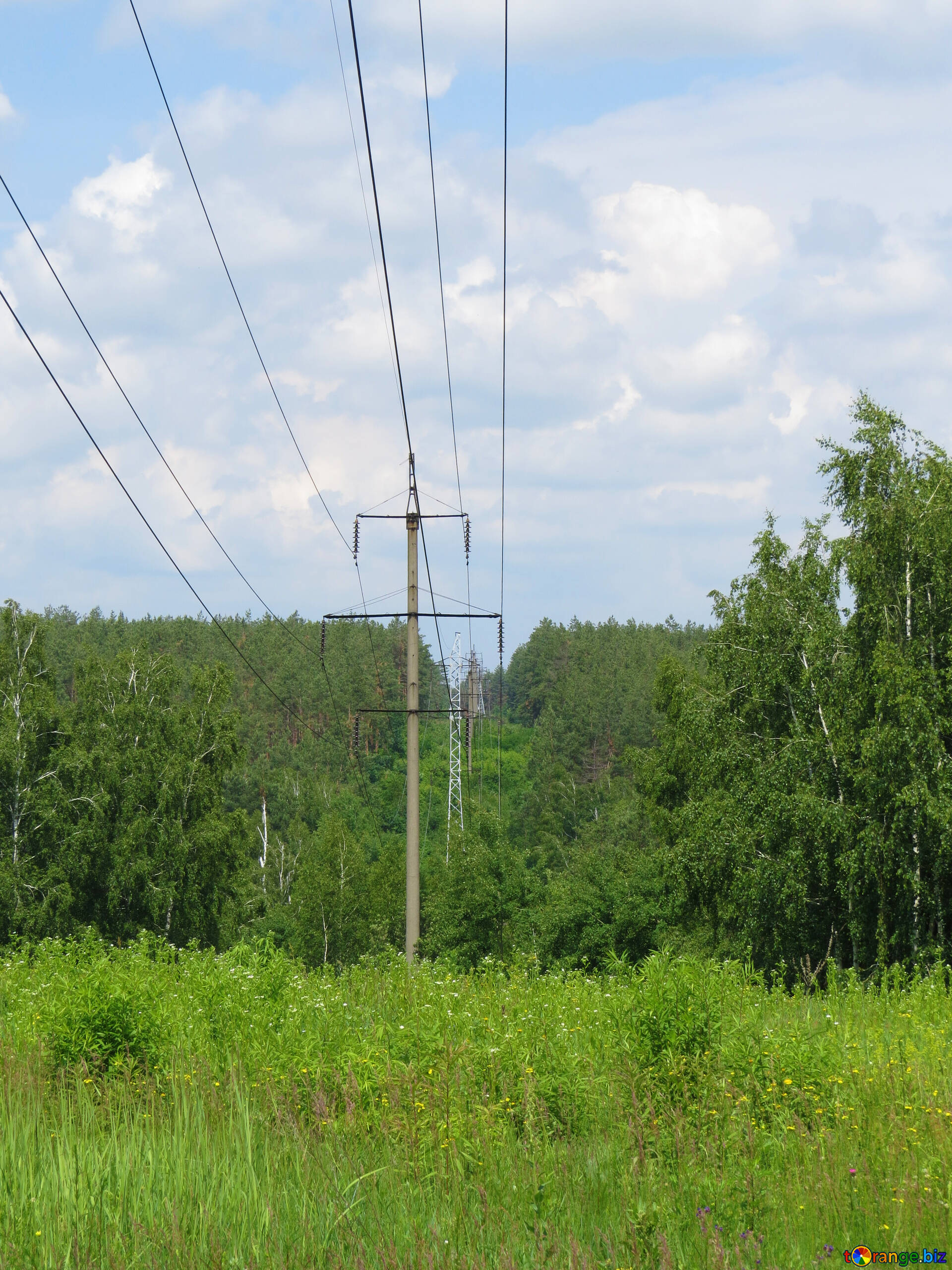 High Voltage Wires And Power Lines Image Wire For Electricity In Wood Images Ecology Torange Biz Free Pics On Cc By License