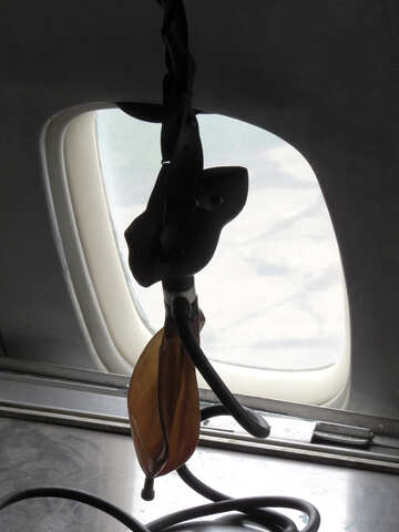 Sauerstoff-Maske in einem Flugzeug №26297