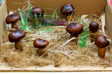 Children hack mushroom forest №26990