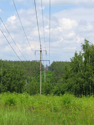 Дроти для електрики в лісі №26657