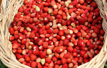 Erdbeere Textur №26025