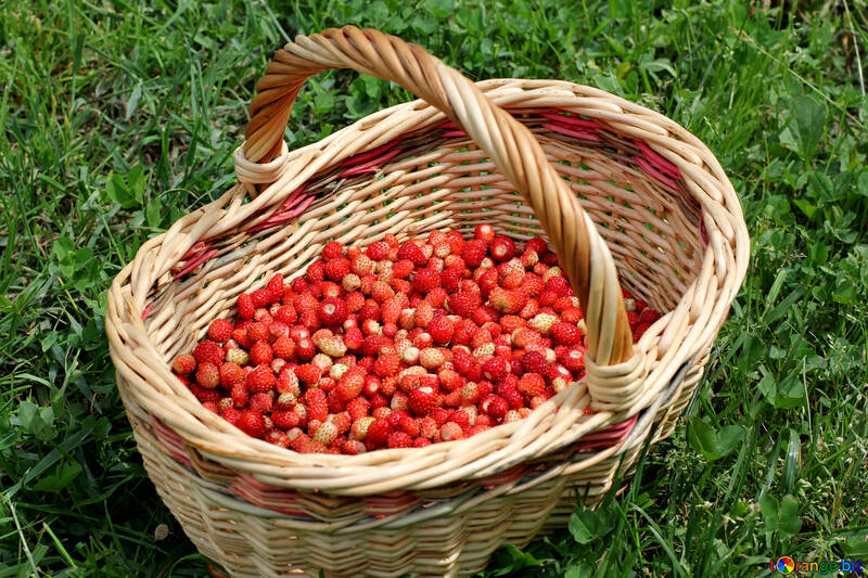Basket of strawberries №26031