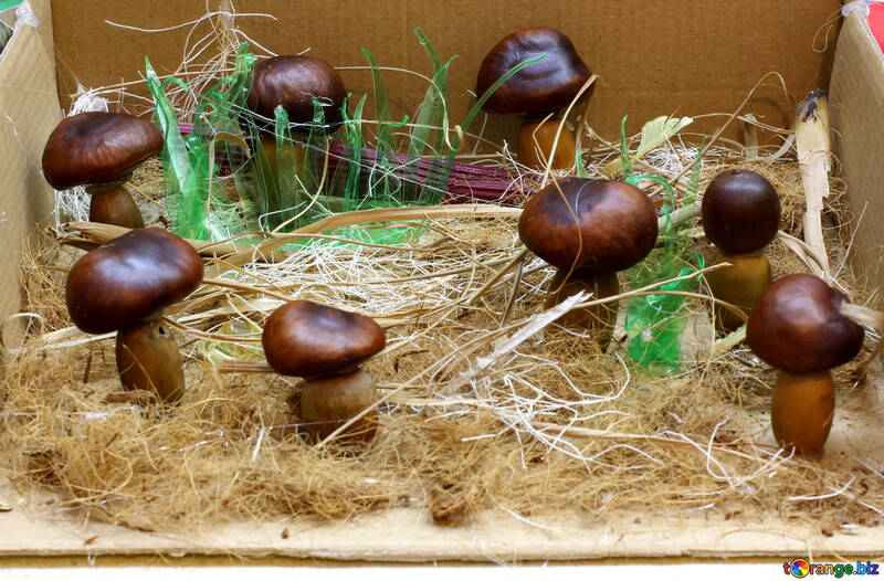Bambini scribacchino foresta dei funghi №26990
