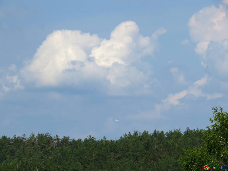 Wolken über den Wald №26661