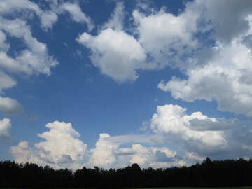 Синее небо с облаками над лесом №27376