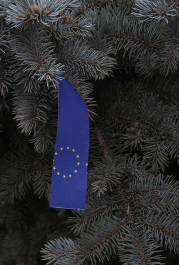 Árvore Europeia №27992