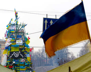 Tree decorated with flags of Ukraine №27910