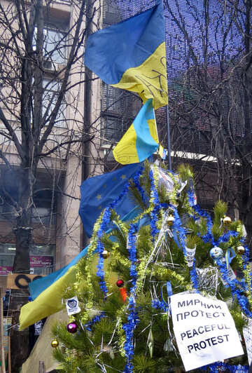 Weihnachtsbaum in Kiew №27728