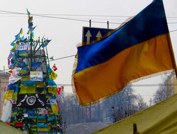 Arbre de Noël à Kiev №27911