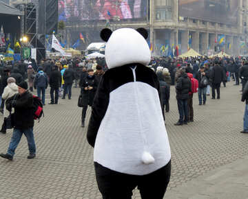 Панда на мітингу №27813