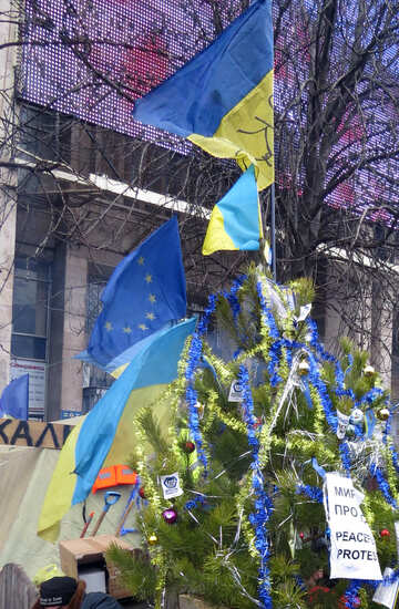 Weihnachtsbaum auf friedlichen protest №27729