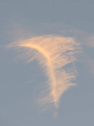 Cloud feather №27316