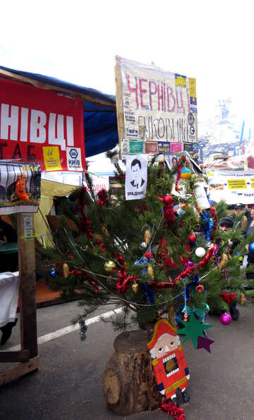 Festive fir tree on protests in Ukraine №27730