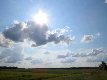 Bright sunshine over the wheat field №27346