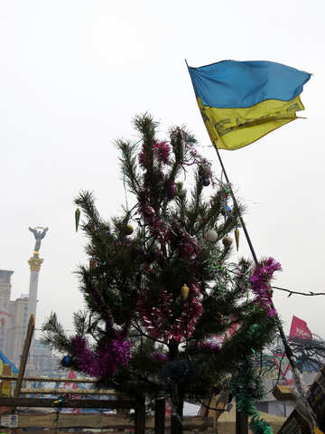 Ukrainian Christmas barricade №27716