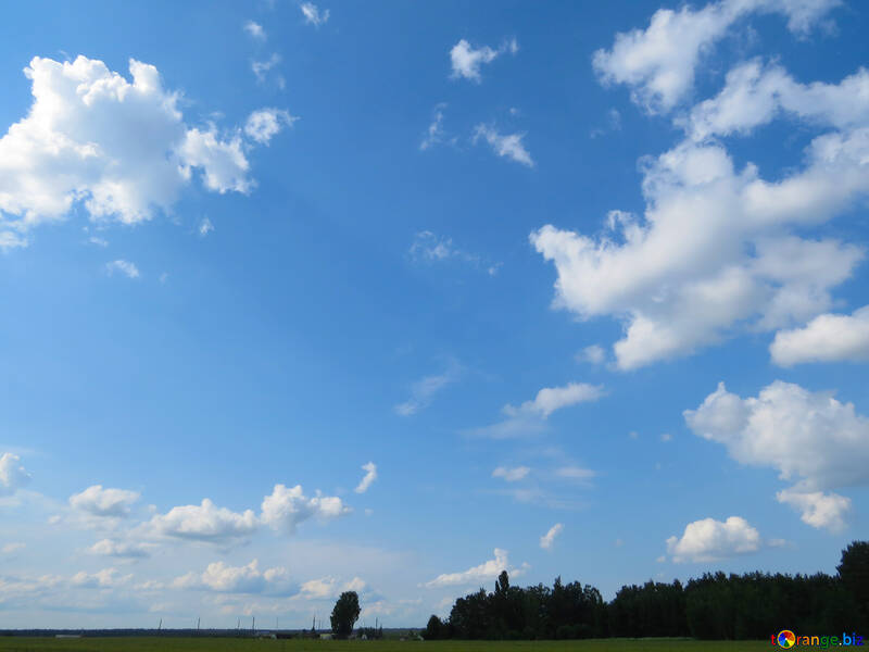 Blue sky over the green forest and field №27372