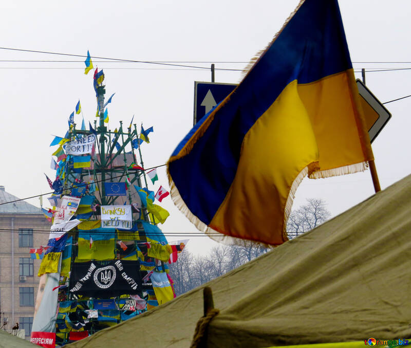 Arbre de Noël révolutionnaire en Ukraine en 2014 №27908