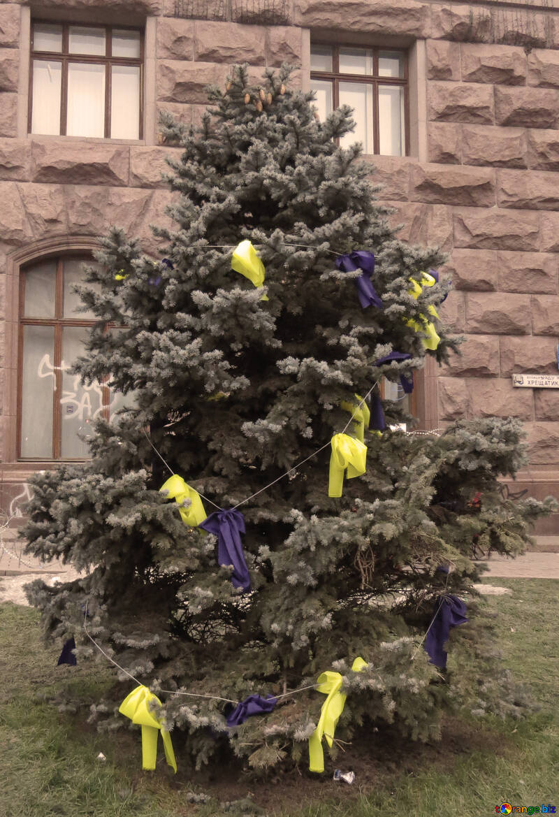 Tree decorated with yellow and blue №27956
