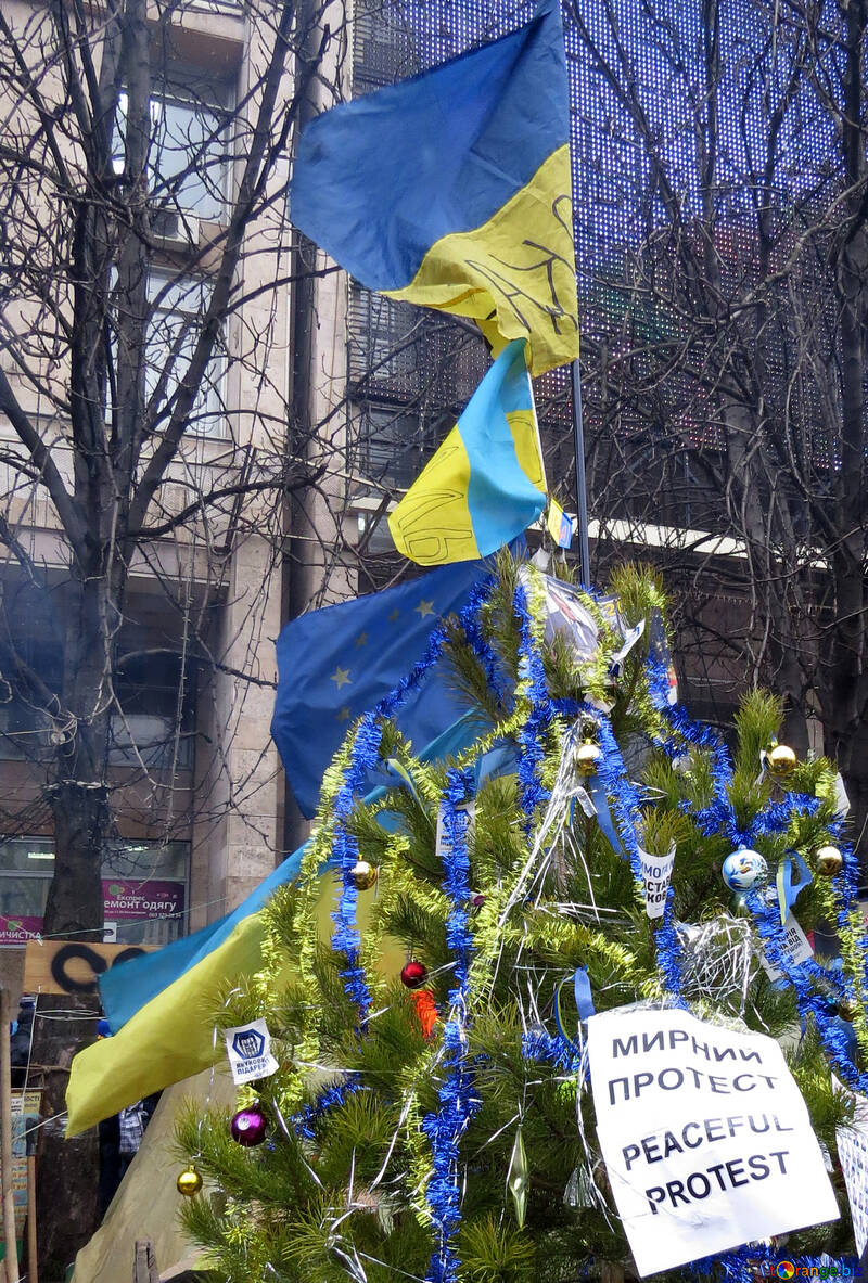 Christmas tree in Kiev №27728