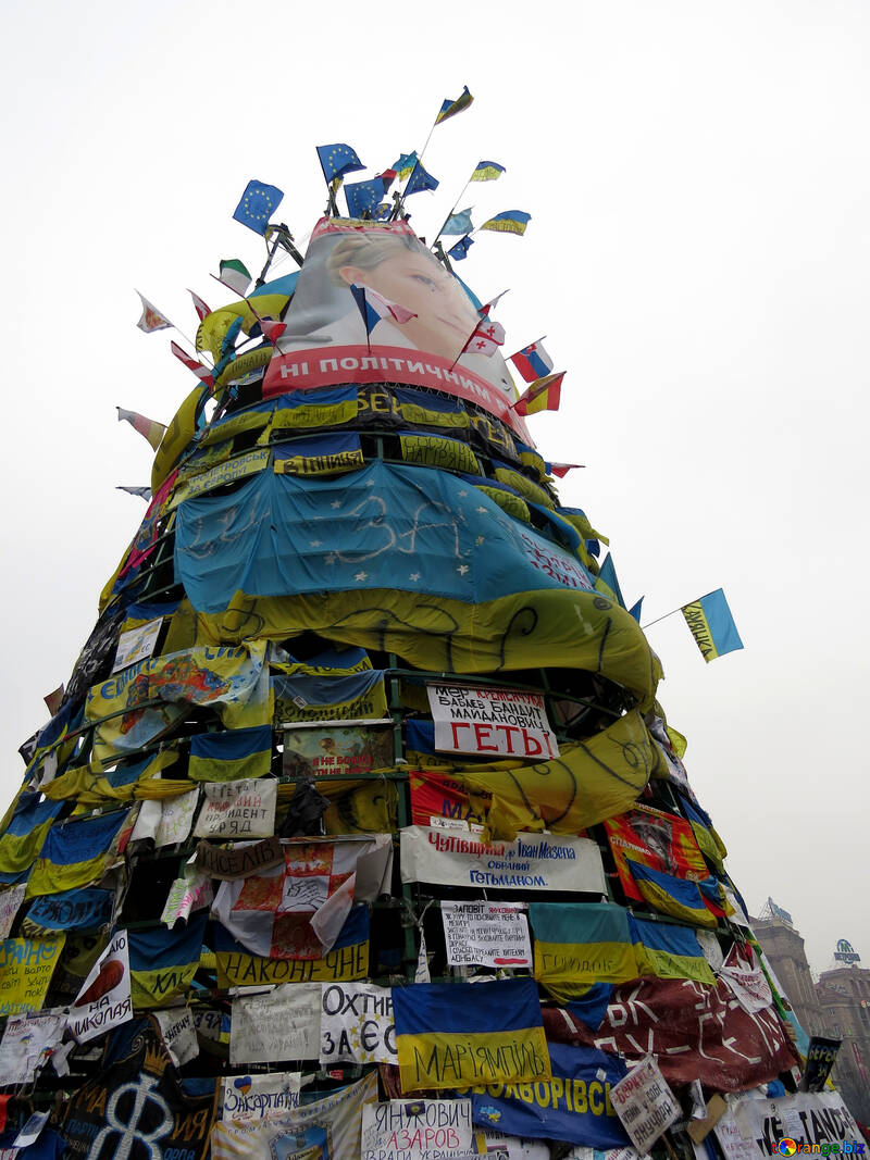 Kiev tree №27825