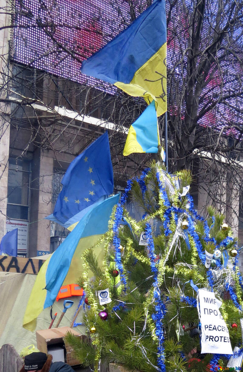 Christmas tree on peaceful protest №27729