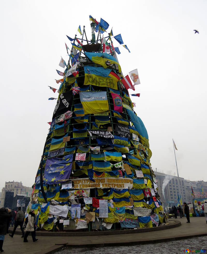 Christmas tree from Ukraine №27828
